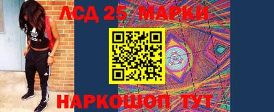 ешки Славгород