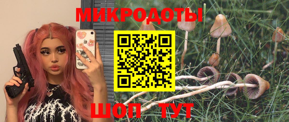 Псилоцибиновые грибы Psilocybe Первоуральск