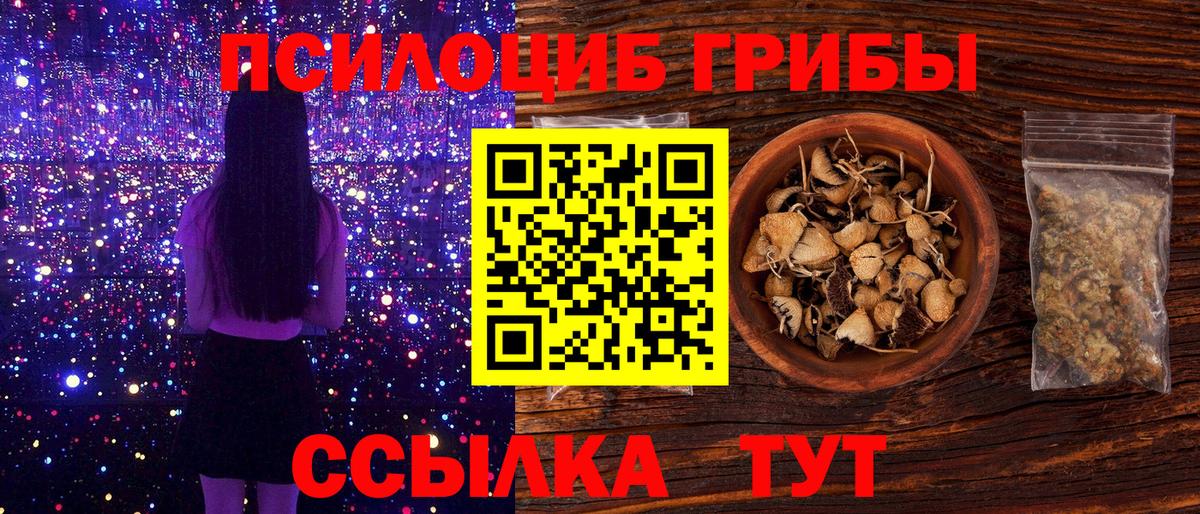 дарнет шоп  Вход с VPN  Первоуральск  Псилоцибиновые грибы прущие грибы 